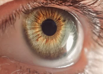 Olho por olho, dado por dado: brasileiros trocam íris por criptomoeda e levantam debate sobre privacidade