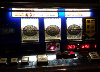 Jogo do bicho migra para as Bets e muda a dinâmica do submundo no Nordeste