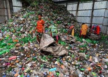 Brasil bate recorde de denúncias de trabalho escravo em 2024