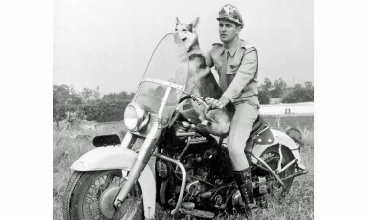 Morre em São Paulo Carlos Miranda, o ‘Vigilante Rodoviário’ da série de TV