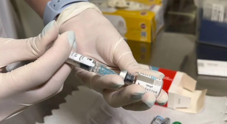 Brasil produzirá vacina nacional de dose única contra a dengue para o SUS em 2026