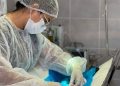 Patos inaugura nova sala cirúrgica e amplia atendimento no Centro de Castração Animal