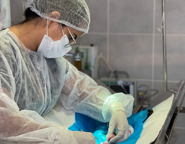 Patos inaugura nova sala cirúrgica e amplia atendimento no Centro de Castração Animal