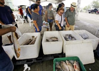 Semana do Pescado da Cecaf oferece peixes e mariscos com preços acessíveis em João Pessoa