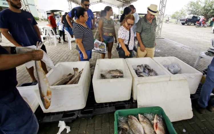 Semana do Pescado da Cecaf oferece peixes e mariscos com preços acessíveis em João Pessoa