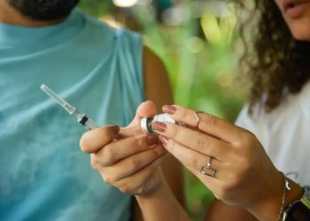 Vacina contra chikungunya será produzida no Brasil e pode chegar ao SUS