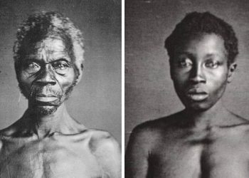 Harvard cede imagens históricas de escravizados a museu após 175 anos de silêncio