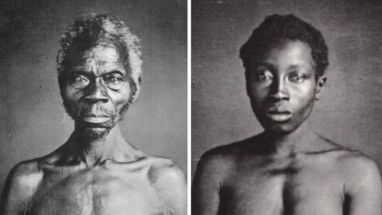 Harvard cede imagens históricas de escravizados a museu após 175 anos de silêncio