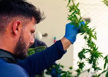 MP da Paraíba pede afastamento da diretoria da Abrace por suspeita de má gestão e favorecimento pessoal