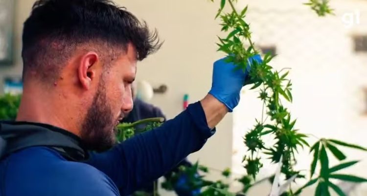 MP da Paraíba pede afastamento da diretoria da Abrace por suspeita de má gestão e favorecimento pessoal