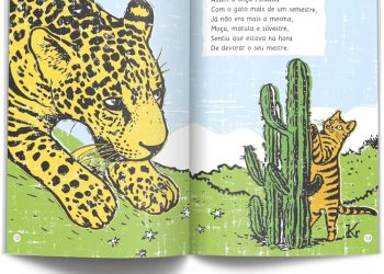 O segredo do gato (que não vai te contar tudo)