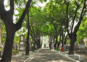 Prefeitura de João Pessoa prepara reformas nos cemitérios, incluindo digitalização de documentos e novas vagas