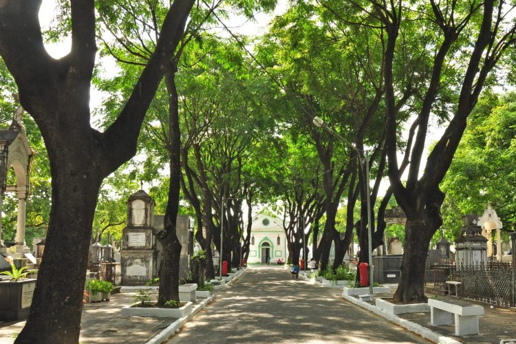 Prefeitura de João Pessoa prepara reformas nos cemitérios, incluindo digitalização de documentos e novas vagas