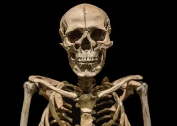 Sob a Pele, a Pergunta