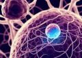 Imunoterapia com dostarlimabe revoluciona tratamento de câncer com mutações genéticas raras