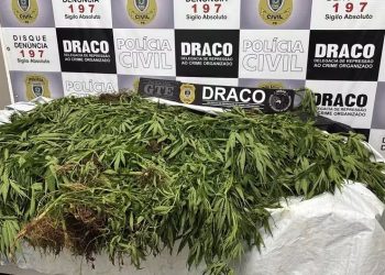 Policial militar e mais seis homens são presos em operação contra o tráfico na Paraíba