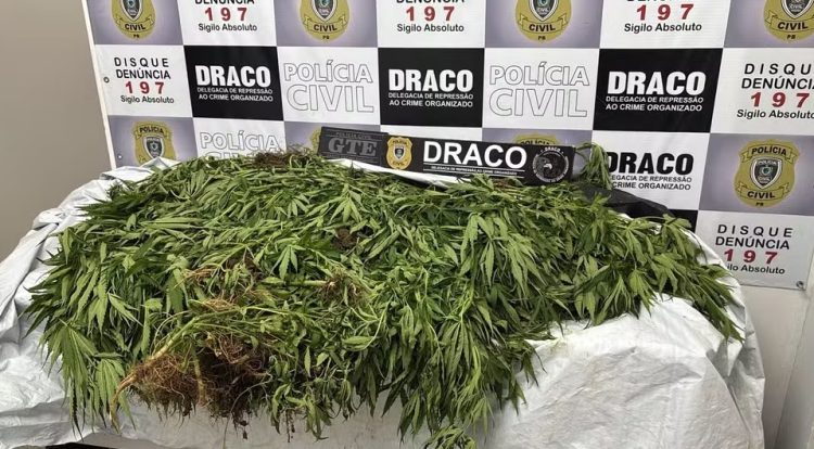 Policial militar e mais seis homens são presos em operação contra o tráfico na Paraíba