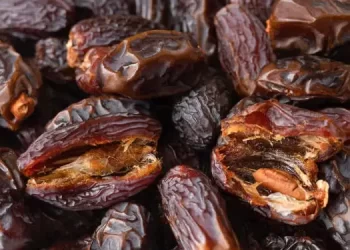 Brownie funcional vira aliado natural na reposição de magnésio e conquista espaço nas rotinas saudáveis