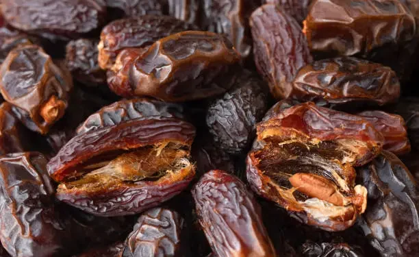 Brownie funcional vira aliado natural na reposição de magnésio e conquista espaço nas rotinas saudáveis