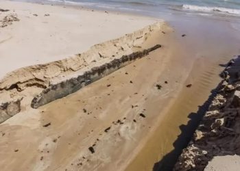 Bar no Bessa é multado em R$ 20 mil por despejar esgoto irregular durante fiscalização em João Pessoa