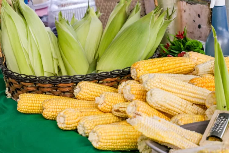 Festival do Milho da Cecaf movimenta mais de meio milhão e reforça força da agricultura familiar em João Pessoa