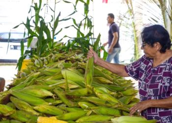 Festival do Milho da Cecaf começa hoje em João Pessoa