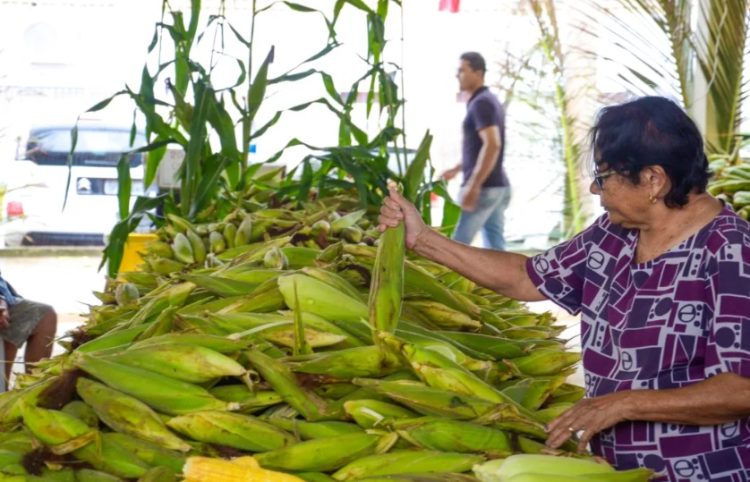 Festival do Milho da Cecaf começa hoje em João Pessoa