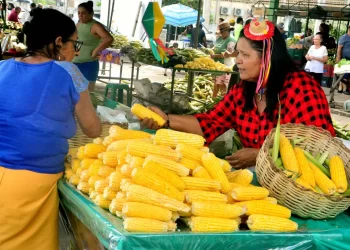 Festival do Milho em João Pessoa terá shows, forró e comidas típicas a partir desta quinta