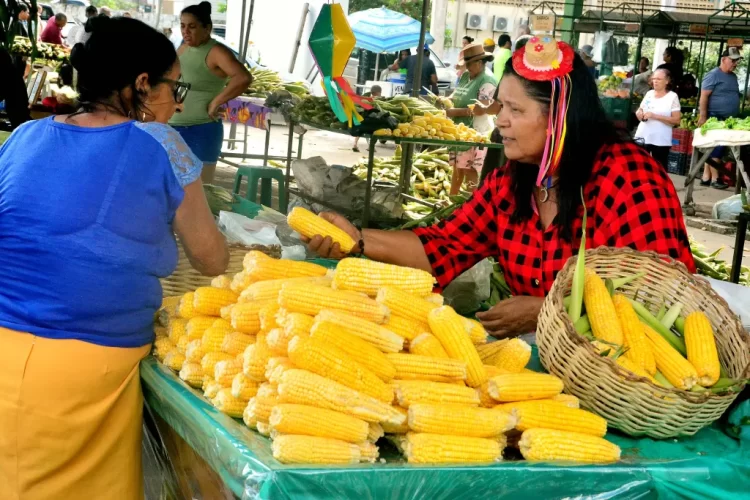 Festival do Milho em João Pessoa terá shows, forró e comidas típicas a partir desta quinta