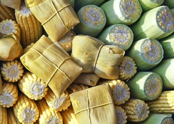 Milho verde impulsiona economia nas feiras de João Pessoa durante festas juninas