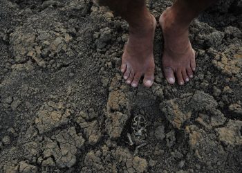 Paraíba tem mais de 100 cidades com situação de emergência reconhecida; maioria sofre com estiagem