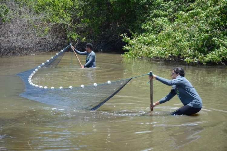 Prefeitura e MP formam comitê para planejar recuperação ambiental do Rio Jaguaribe