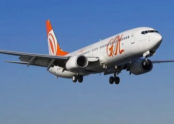 Voo da Gol em João Pessoa faz pouso de emergência após colisão com pássaro