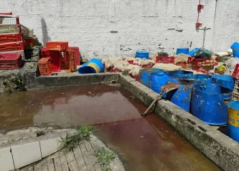 Empresa de abate é flagrada poluindo rio em João Pessoa e tem atividades suspensas