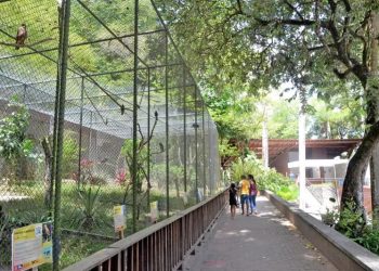 Ave em extinção é roubada do Zoológico da Bica, em João Pessoa