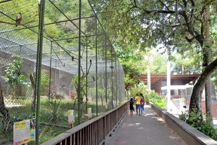 Ave em extinção é roubada do Zoológico da Bica, em João Pessoa