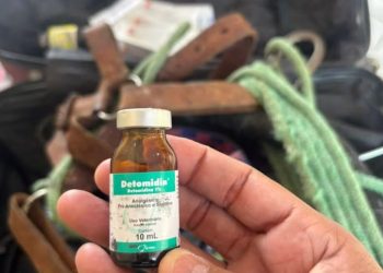 Estudante é investigado por se passar por veterinário e causar morte de cães no Sertão da Paraíba