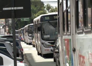 João Pessoa terá corredores exclusivos para ônibus com foco em sustentabilidade