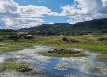 Pedra do Galo: quando o canto era código e a traição virou topônimo