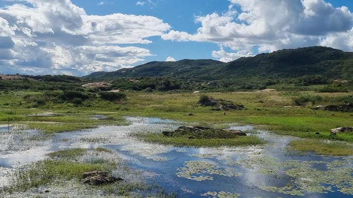 Pedra do Galo: quando o canto era código e a traição virou topônimo