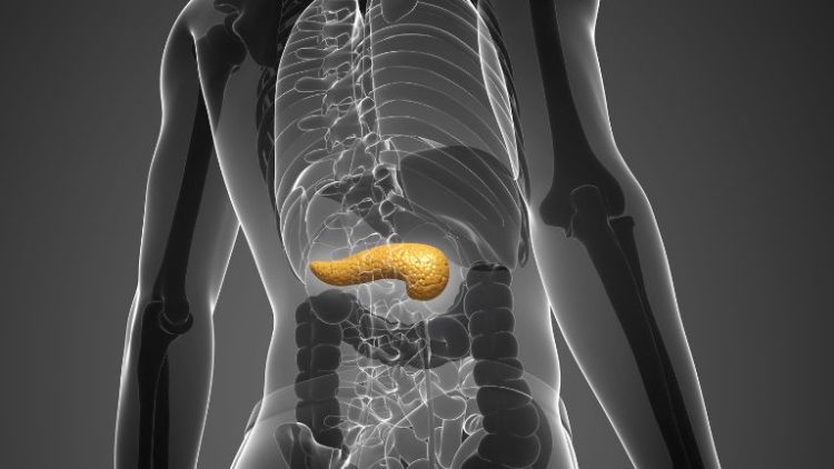 Câncer de pâncreas: o inimigo oculto que ataca em silêncio