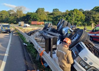 Trânsito é parcialmente interditado na BR-230 após tombamento de caminhão carregado de madeira