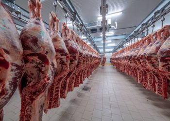 Em meio a incertezas, China adia decisão sobre carne bovina e mantém Brasil em alerta