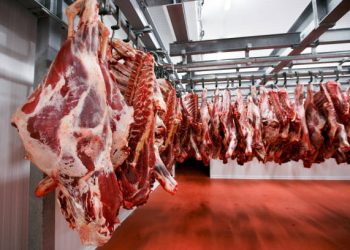 Carne bovina brasileira desafia tarifas dos EUA e se aproxima de recorde em exportações