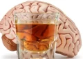 Beber só “um pouquinho”? Seu cérebro discorda
