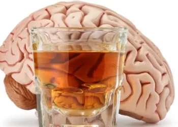 Beber só “um pouquinho”? Seu cérebro discorda