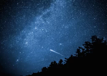 As estrelas que cantam