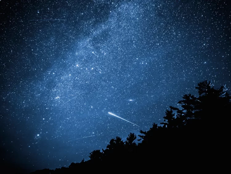 As estrelas que cantam