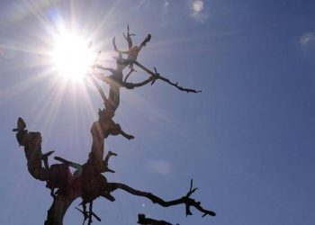 Governo federal reconhece situação de emergência em três cidades Paraíba