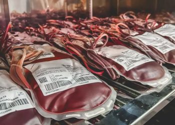 STF confirma direito de recusar transfusão de sangue por religião